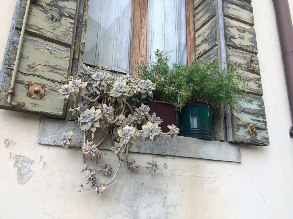 Back in Valdobbiadene and&nbsp;Veneto