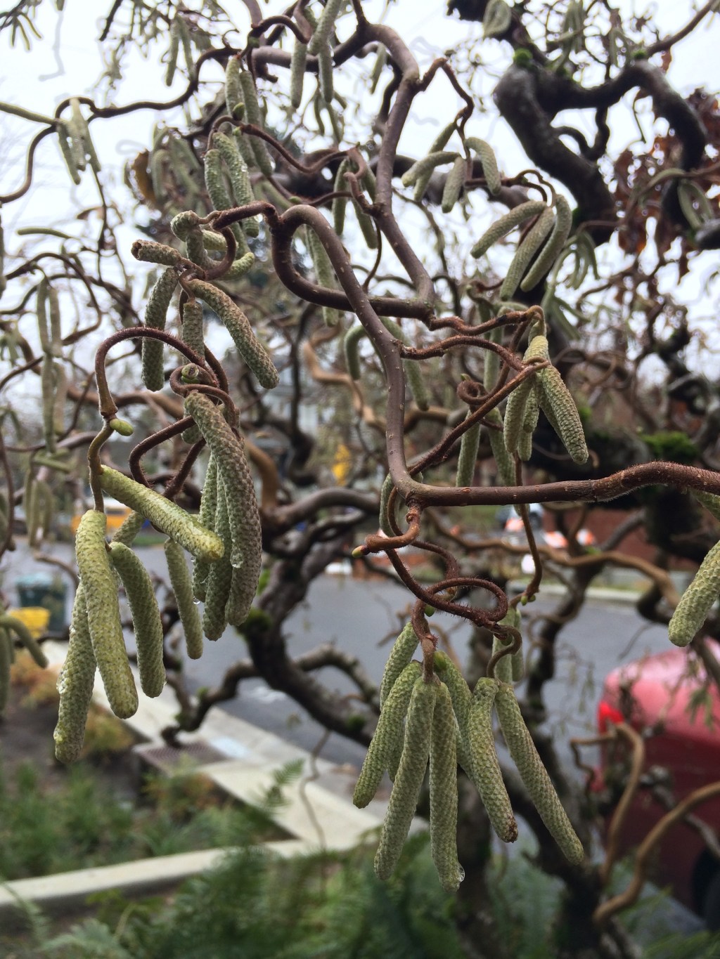 Before returning to Italy, let’s review last&nbsp;winter…