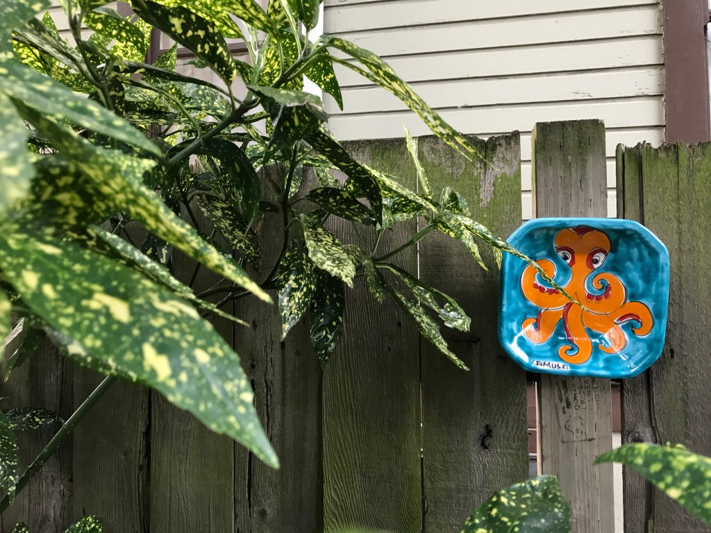 My First HPSO (Hardy Plant Society of Oregon) Open&nbsp;Garden
