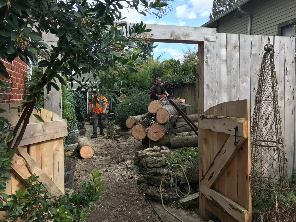 Plant People Terminology (From My Own Independent&nbsp;Perspective)