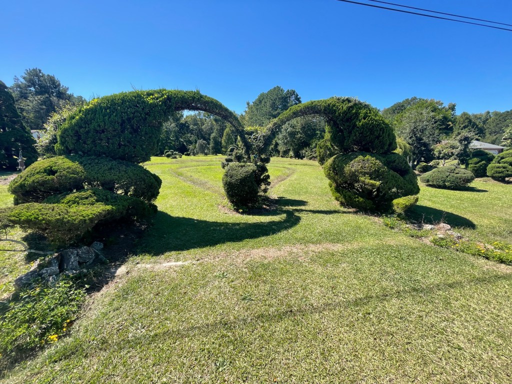 Pearl Fryar Topiary&nbsp;Garden