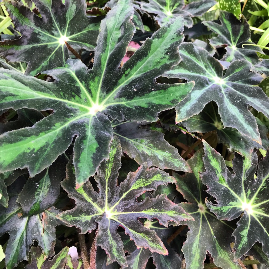 A Few Takeaways from 2022 and Good Intentions for 2023