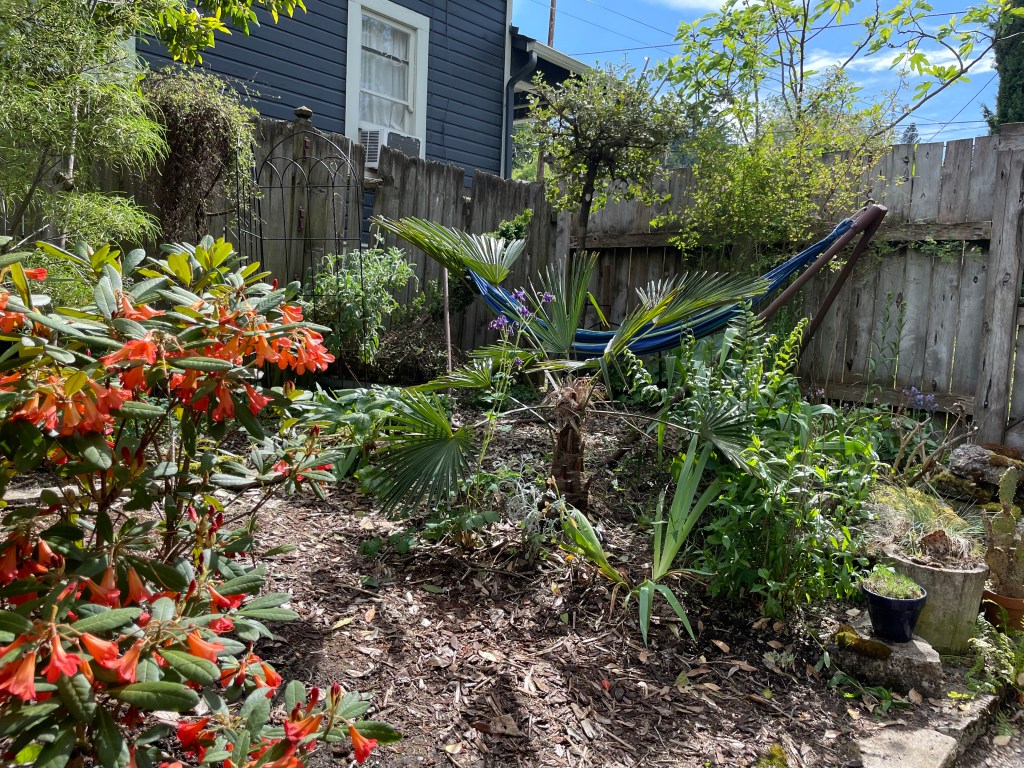 Order of Plant&nbsp;Hoarder