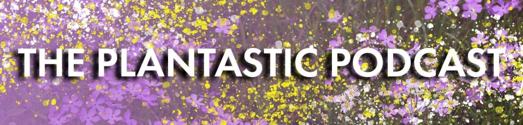 A Recent Podcast Interview with Dr.&nbsp;Jared