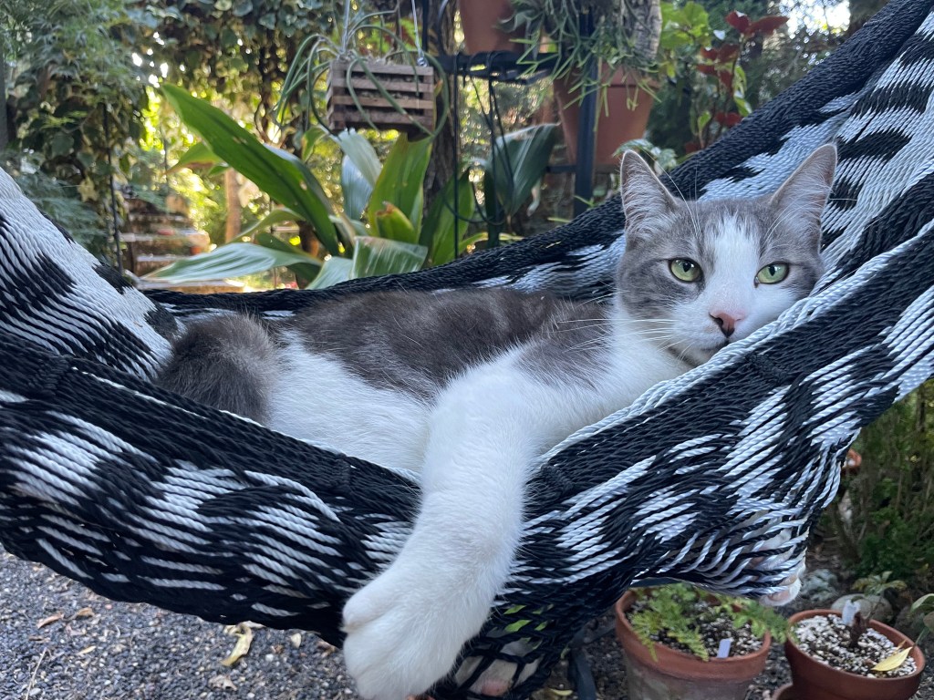 My Summer So&nbsp;Far…