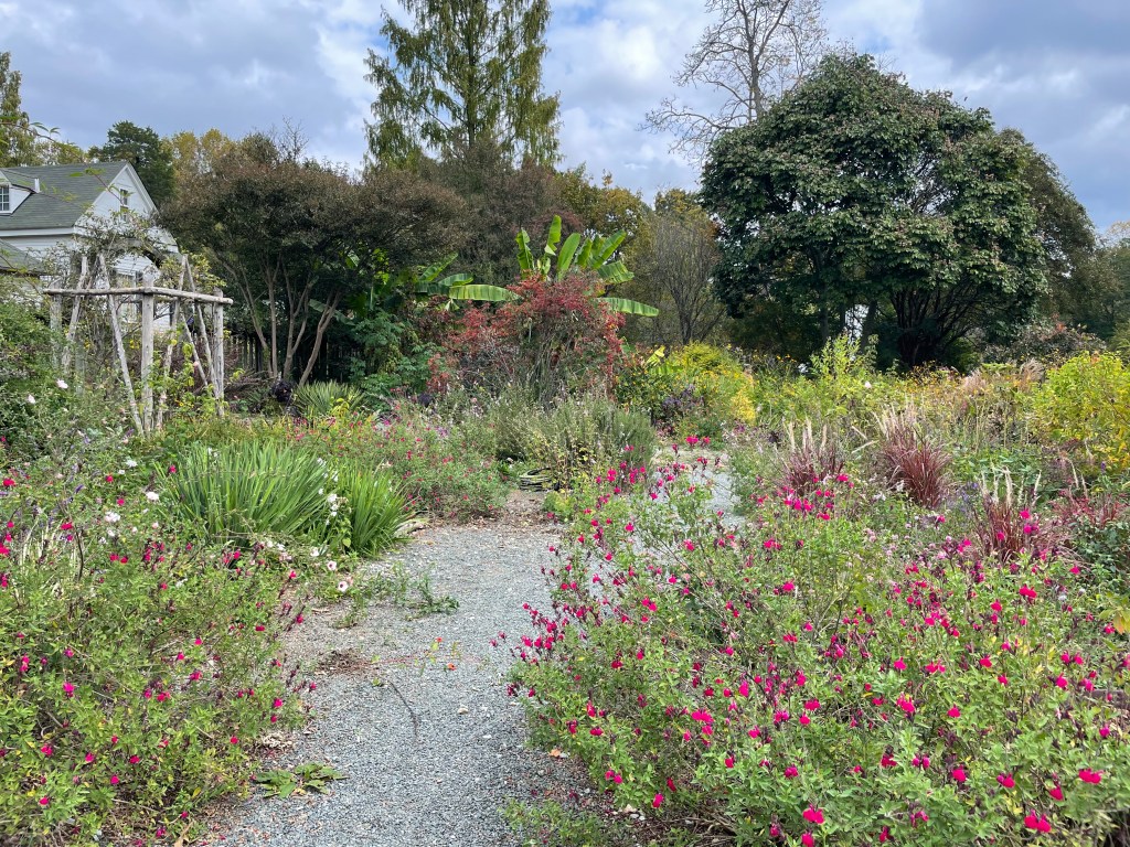A Visit to Montrose Garden in October of 2022 (Hillsborough, North&nbsp;Carolina)