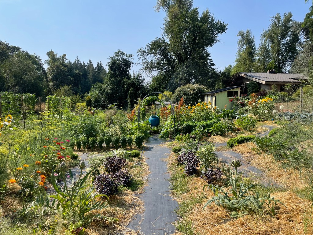 An Inspired Ornamental Vegetable Garden at Secret Garden Growers Nursery in Canby,&nbsp;OR