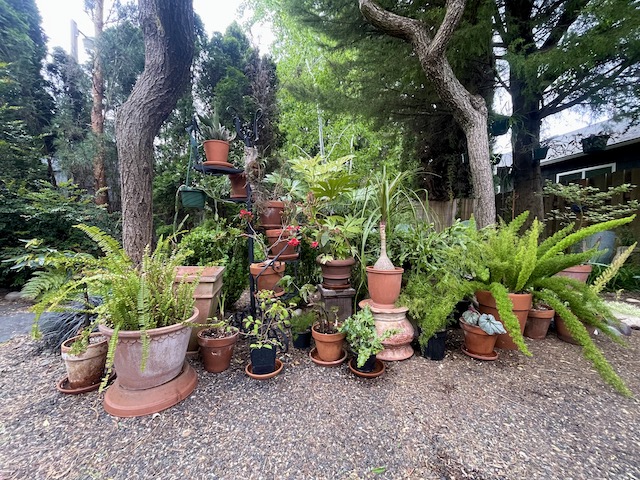 Rediscovering the Garden