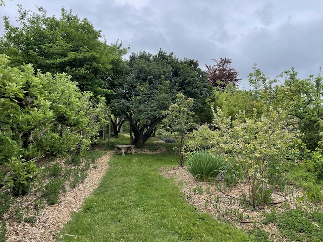 HOEC: the Home Orchard Education Center and its Orchard&nbsp;CSA