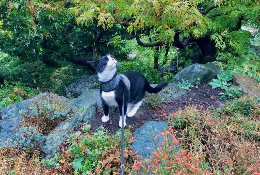 Cultivating Resilience Through Gardening: My&nbsp;Story