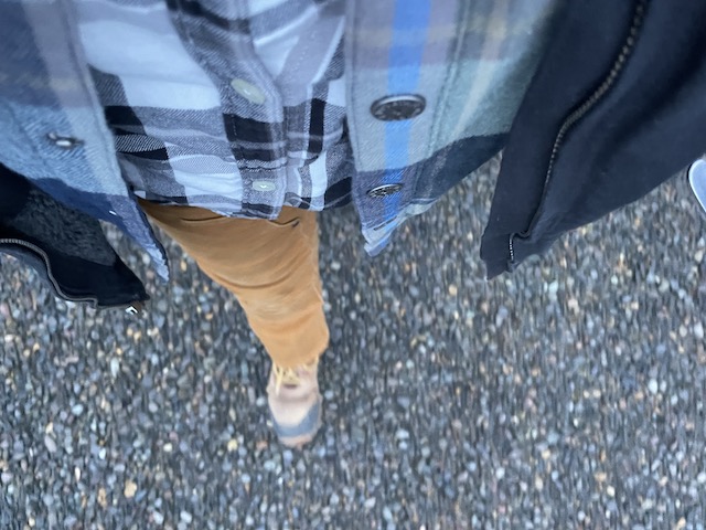 Ferns, Wild Ginger, Oxalis and more… This is&nbsp;Work.